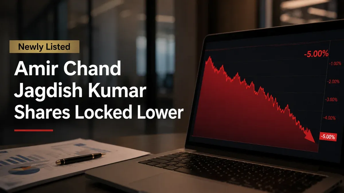 amir-chand-jagdish-kumar-ipo-lower-circuits