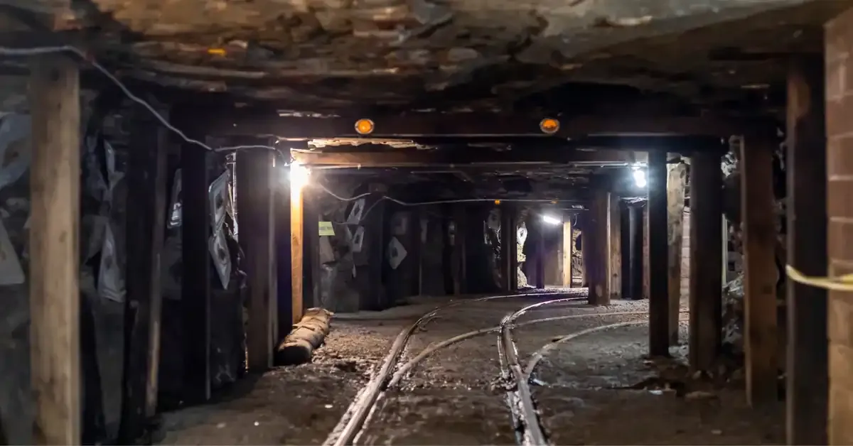 india-coal-imports-fall-high