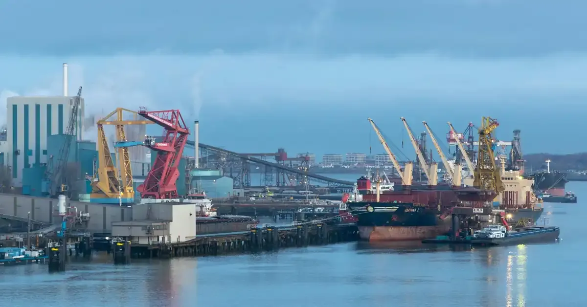 india-sulphur-export-restrictions