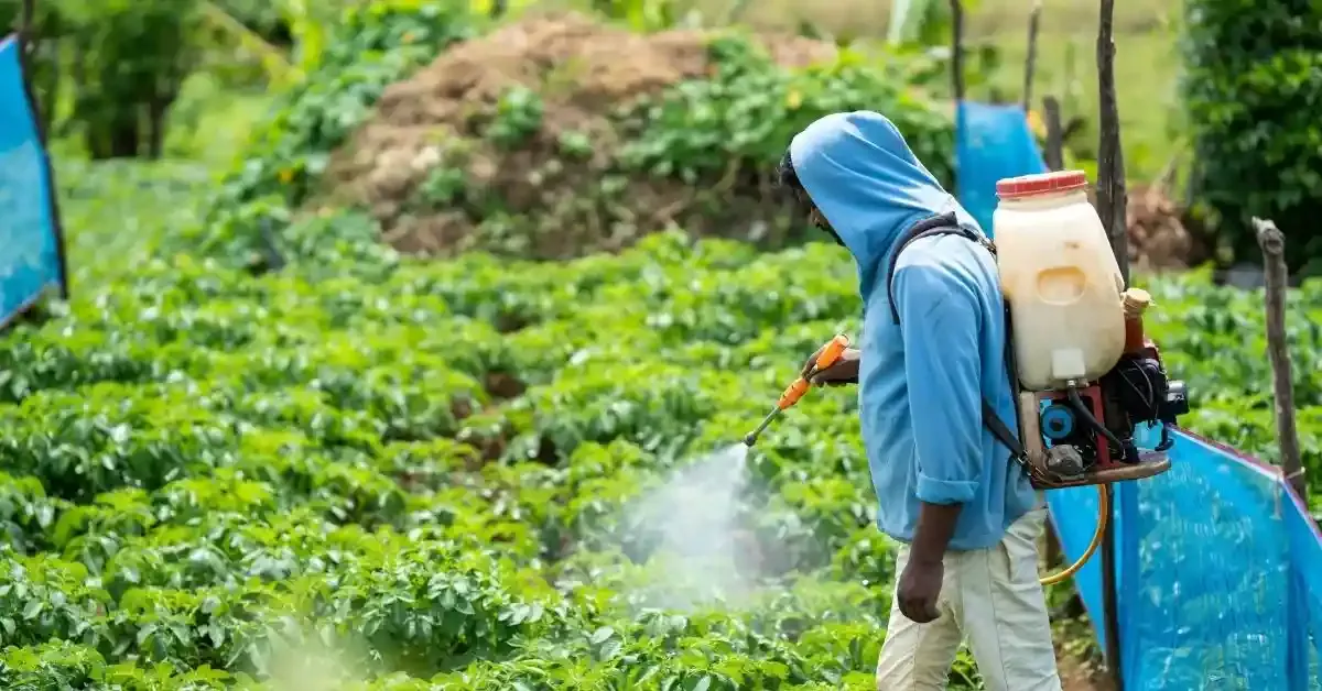 natco-pharma-clears-agrochemicals-spin-off-with-11-share-allocation natco-pharma-clears-agrochemicals-spin-off
