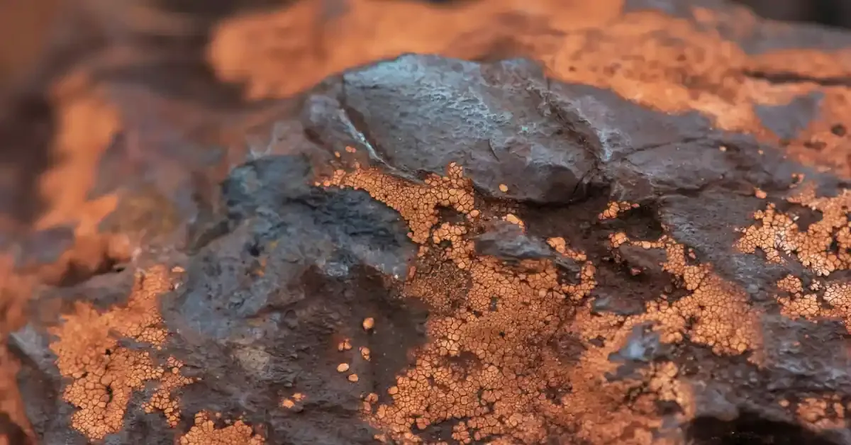 NMDC Hikes Iron Ore Prices Across Grades From 5 April  