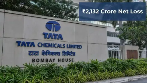 tata-chemicals-q4-results