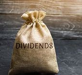 5 Reasons to Invest in Stocks Which Pay Dividends