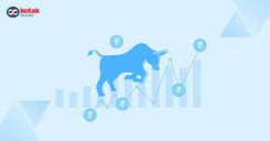 What is Bull Market image placeholder