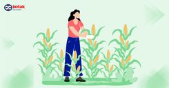 Sanstar Limited’s IPO Hits D-Street on July 19 - Key Details You Must Know