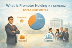What is Promoter Holding in a Company?
